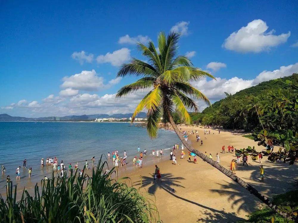 海南热带风情,无限商机等你来探索