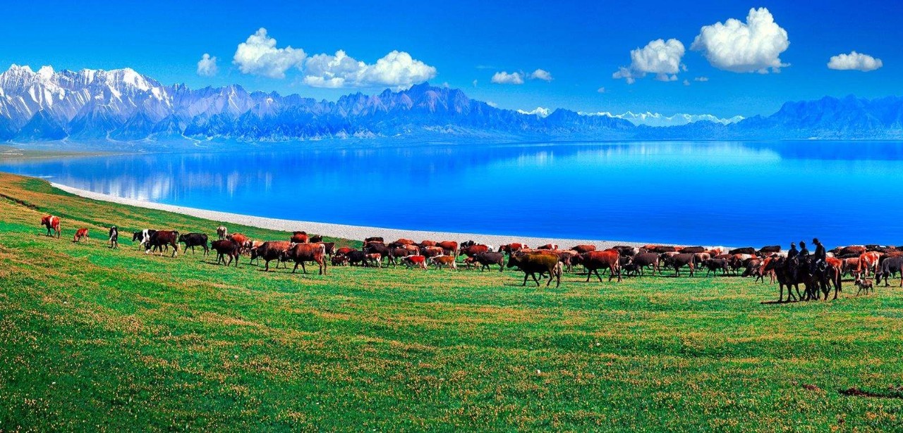 多元文化交融下的新疆地区发展研究