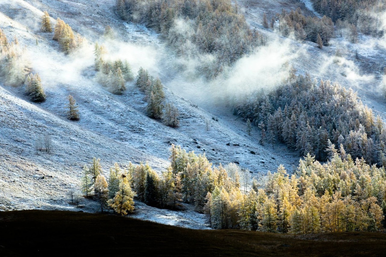 多元文化交融下的新疆地区发展研究