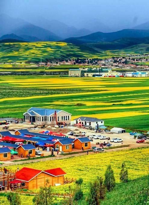 探寻青海小巷深处的老味道秘密花园,一家特色小店的故事